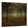 Misty Morning Orchard in Autumn Fog Fine Art Photo Wall Art (Acrylic, 12x18) view 2