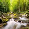 Niwo ART - Mountain Stream, Removable Wall Mural | Self-Adhesive Large Wallpaper (96"x144") view 2