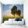 Niwo ART - Countryside Road Trees Sunshine, Removable Wall Mural | Self-Adhesive Large Wallpaper (64"x96") view 3