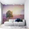 Niwo ART - Beautiful Landscape Sunrise, Removable Wall Mural | Self-Adhesive Large Wallpaper (64"x96") view 3