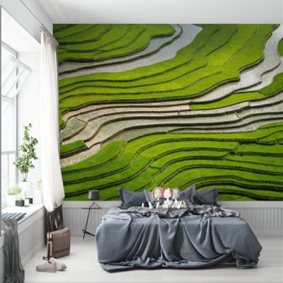 Niwo ART - Look At All That Rice, Removable Wall Mural | Self-Adhesive Large Wallpaper (96"x144")
