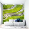 Niwo ART - Look At All That Rice, Removable Wall Mural | Self-Adhesive Large Wallpaper (96"x144") view 3