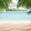 Niwo ART - Beach Nature 7, Removable Wall Mural | Self-Adhesive Large Wallpaper (96"x144") view 2