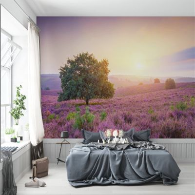 Niwo ART - Beautiful Landscape Sunrise, Removable Wall Mural | Self-Adhesive Large Wallpaper (96"x144")