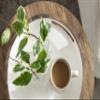 Kate and Laurel Ehrens Boho Wood Tray, 15 Inch Diameter, Natural and White, Round Accent Tray for Transitional Decor view 3