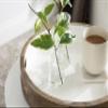 Kate and Laurel Ehrens Boho Wood Tray, 15 Inch Diameter, Natural and White, Round Accent Tray for Transitional Decor view 4