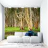 Niwo ART - Old Trees Swamp, Removable Wall Mural | Self-Adhesive Large Wallpaper (64"x96") view 3