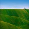 Niwo ART - Green Rolling Hills, Removable Wall Mural | Self-Adhesive Large Wallpaper (64"x96") view 2