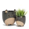 Abbott Collection Stoneware Cat on Legs Planter - Large (5" H) view 3