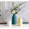 BD.Y Creative Gift Vase Nordic Simple Modern Vase Decoration Home Accessories Living Room Flower Arrangement Lalin Ceramic Creative Home Decoration Flower Crafts (Size : S) view 3