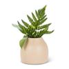 Abbott Collection 27-CASHMERE-960 Small Matte Vase, Sand view 2