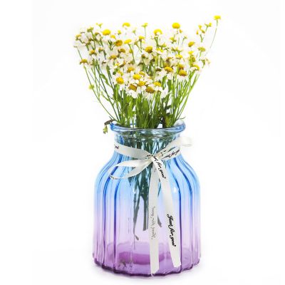 OFFIDIX Glass Vase, Gradient Multicolor Flower Vase for Weddings, Events, Decorating, Arrangements, Flowers, Office, or Home Decor