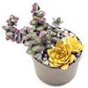 ODETOJOY 1/16 inch Quilling Paper Strips 1.5mm Solid Colors Succulents Plant DIY Single Color Paper Quilling Strip (White) view 3