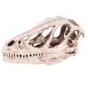 Raguso Dinosaur Skull Model Simulated Animal Skeleton Gifts Home Office Decor Teaching Tools view 1