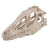 Raguso Dinosaur Skull Model Simulated Animal Skeleton Gifts Home Office Decor Teaching Tools view 2