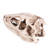 Raguso Dinosaur Skull Model Simulated Animal Skeleton Gifts Home Office Decor Teaching Tools view 4