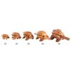 Thailand Wooden Frog Instrument Croaking Musical Instrument Percussion Instrument Traditional Craft Home Office Lucky Decor(#5) view 3