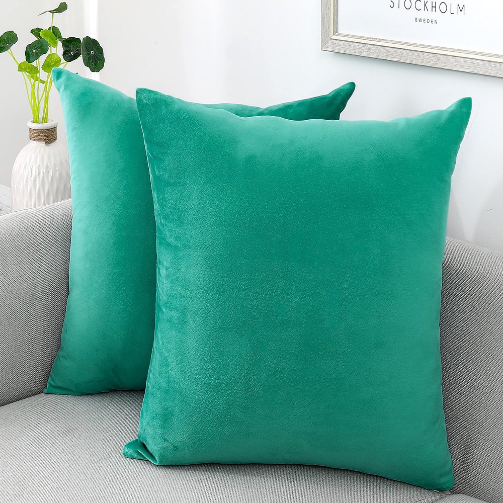 NiNi ALL Decorative Throw Pillow Covers Velvet Soft for Couch Sofa Bedroom Living Room Outdoor Pack of 2 18x18 Inch Aqua Green
