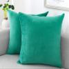 NiNi ALL Decorative Throw Pillow Covers Velvet Soft for Couch Sofa Bedroom Living Room Outdoor Pack of 2 18x18 Inch Aqua Green view 1