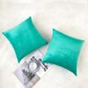 NiNi ALL Decorative Throw Pillow Covers Velvet Soft for Couch Sofa Bedroom Living Room Outdoor Pack of 2 18x18 Inch Aqua Green view 2