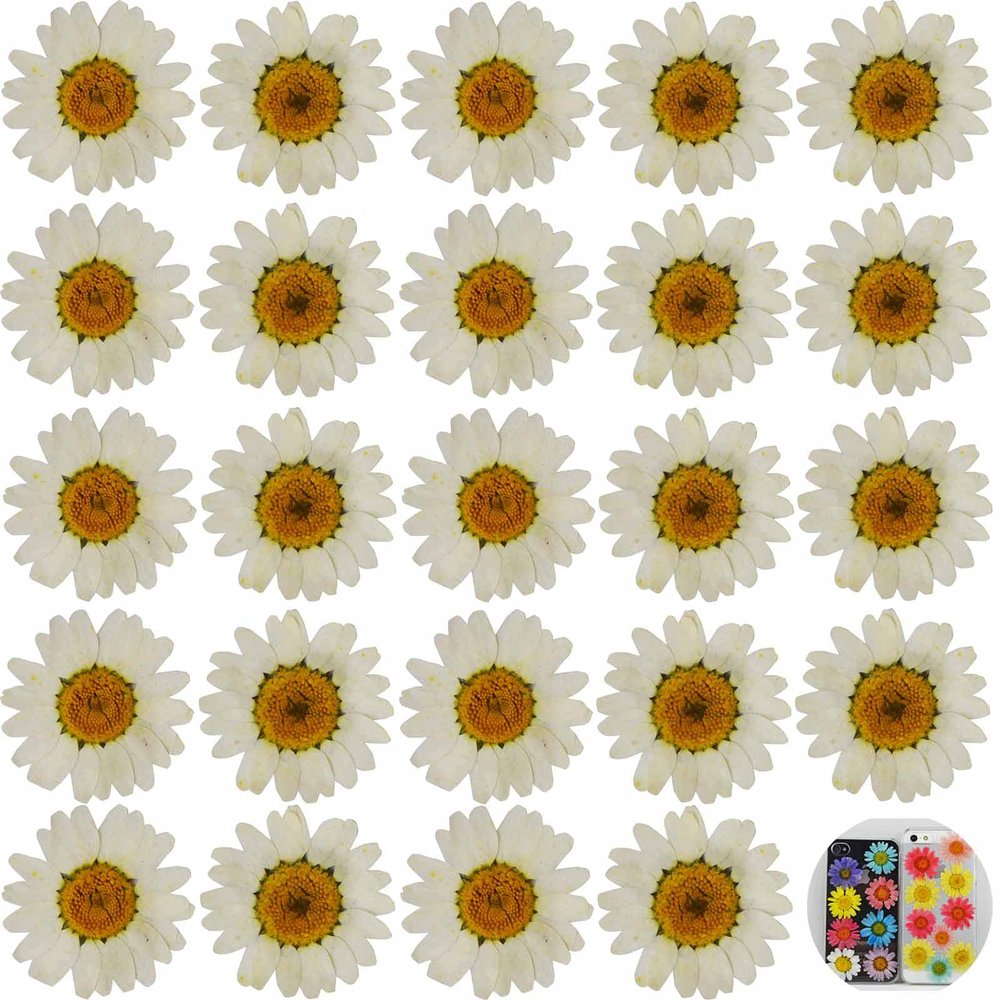 24 PCs White Daisy Real Natural Dried Pressed Flowers for Candle Making Art Craft DIY
