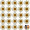 24 PCs White Daisy Real Natural Dried Pressed Flowers for Candle Making Art Craft DIY view 1