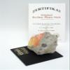 Berlin souvenirs AUTHENTIC PIECE OF BERLIN WALL with CoA - Large piece on black acrylic base view 2