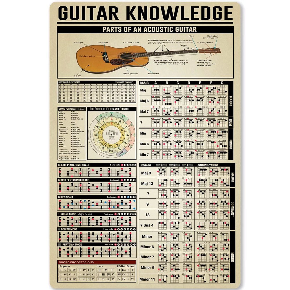 Guitar Knowledge Metal Tin Sign Parts of an Acoustic Guitar Metal Poster Musical Instrument Infographic for Home Kitchen Club School Cafe Wall Plaque 12x18 Inches