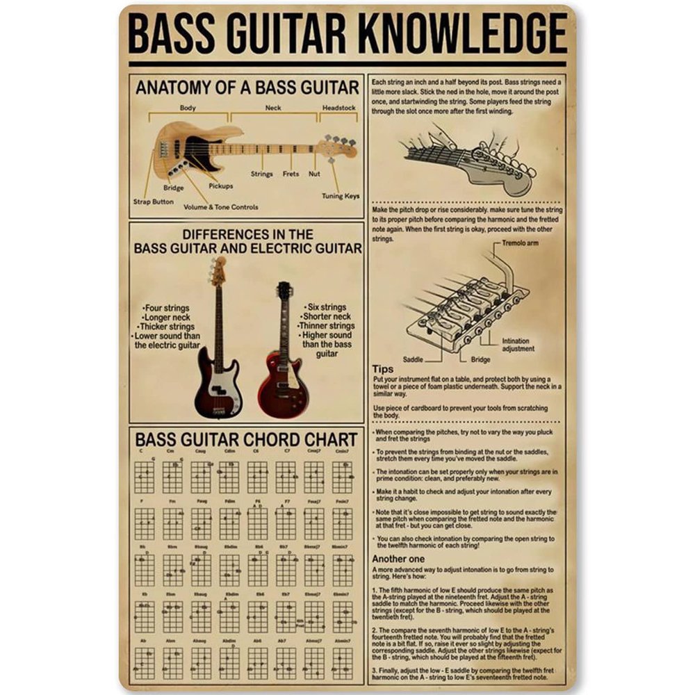 Bass Guitar Knowledge Metal Sign Anatomy of A Bass Guitar Tin Poster Plaque Beginner Home Kitchen Club School Cafe Education Infographic 12x18 Inches