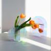 Acrylic Vase, Iridescent Acrylic Ripple Vase, Rainbow Acrylic Vase Minimalist Dcor Artistic Vase (Round Shape) view 1