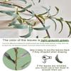 Birchlitland Lighted Olive Garland Battery Operated with Timer 6FT 96 LED Fairy Lights, Faux Vine with Lights for Mantel Fireplace Wall Patio Wedding and Holiday Decor view 3