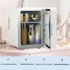 ZLPTEAM Mini Fridge with Mirror Door & Adjustable LED Lights - 8L Cosmetic Skincare Fridge for Bedroom,Dorm,Mini Car Refrigerator Portable Quiet Cooling,Gift for Women view 3