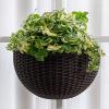 EESLL Wall-Mounted Flowers Pot,2Pcs Wall Hanging Flower Planters Semicircular Imitation Rattan Vases with S Hooks Weaving Creative Plants Baskets for Outdoor Garden Balcony Fence Railing view 3