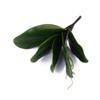 DUO ER 1 Branch Artificial Butterfly Orchid Leaf Bush Simulation Grass Home Decoration Green view 3