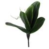 DUO ER 1 Branch Artificial Butterfly Orchid Leaf Bush Simulation Grass Home Decoration Green view 4