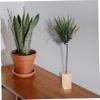 Cabilock 3 Piece Tillandsia Holder Metal and Natural Base Air Plant Stand view 3