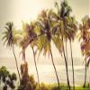 Niwo ART - Palm Trees Retro Style, Removable Wall Mural | Self-Adhesive Large Wallpaper (64"x96") view 2