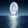 Niwo ART - Full Moon Rising Over the Ocean, Removable Wall Mural | Self-Adhesive Large Wallpaper (64"x96") view 2