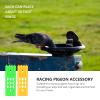 balacoo 2pcs Racing Pigeon Foot Rack for Organized Storage for Easy Access to Pigeon Supplies for Poultry Management and Breeding view 2