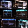 Qianwei 3D Crystals Shark Gifts for Shark Lovers,Shark Decor Glass Figurine Shark Jaw Stuff Birthday for Lovers,Keepsake&Paperweight view 3