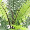 DUO ER 12-Head Artificial Fern Leaves Simulation Leaf Bouquet Home Office Table Plastic Plant Decoration view 3
