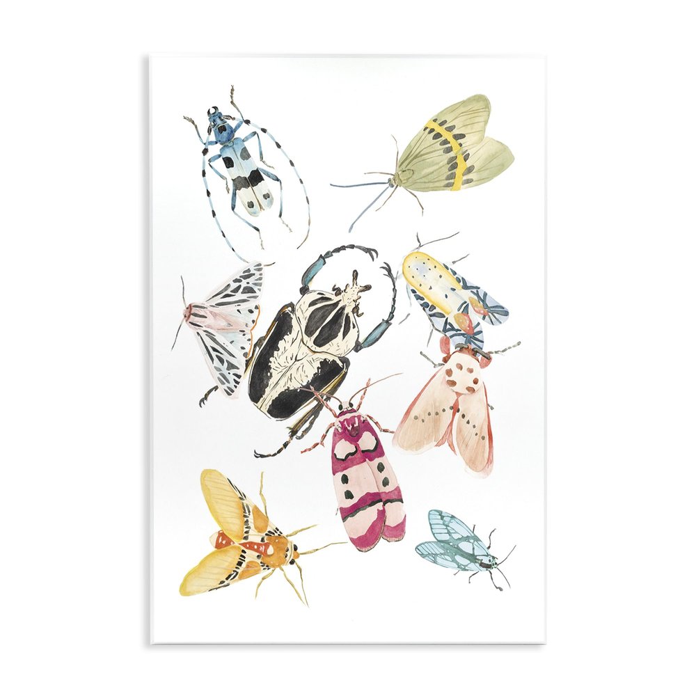 Garden Insect Floral Study, 10 x 15 Inch Mounted Print on Wall Plaque