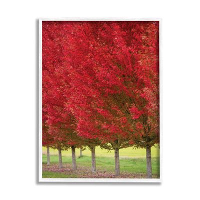 Stupell Industries Autumn Foliage Red Leaf Trees Nature Scene