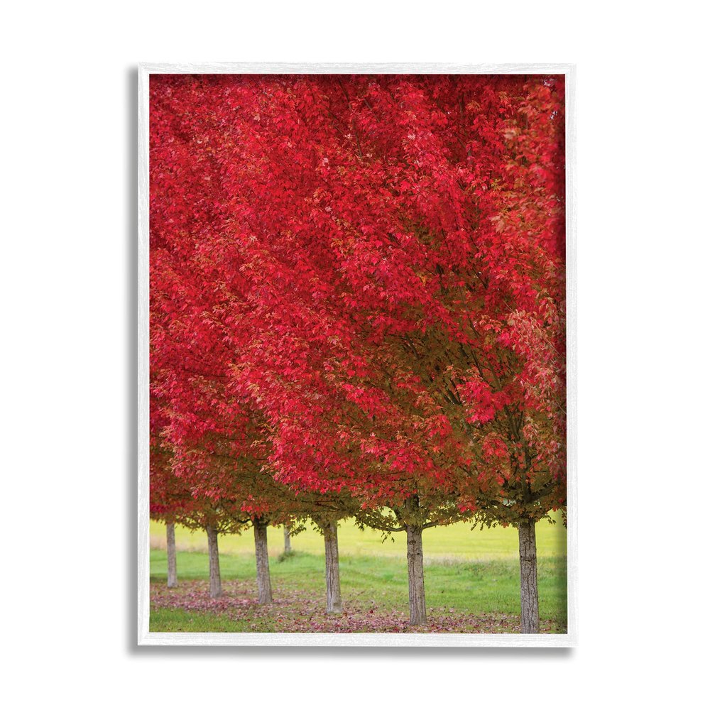 Stupell Industries Autumn Foliage Red Leaf Trees Nature Scene