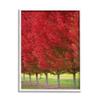 Stupell Industries Autumn Foliage Red Leaf Trees Nature Scene view 1