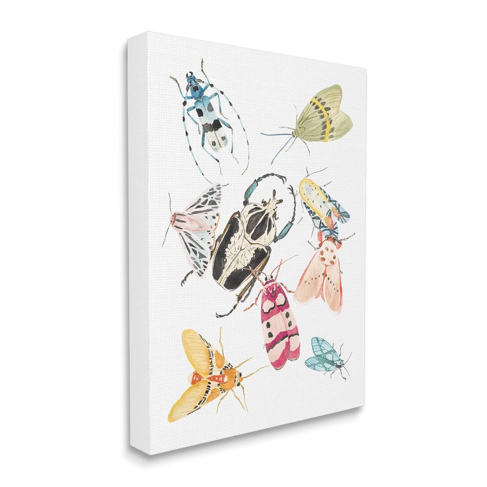 Stupell Industries Garden Insect Arrangement Charming Winged Creatures