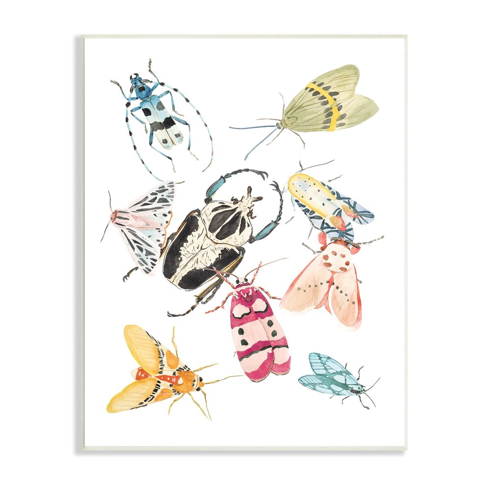 Stupell Industries Garden Insect Arrangement Charming Winged Creatures