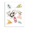 Stupell Industries Garden Insect Arrangement Charming Winged Creatures view 1