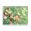 Stupell Industries Impressionistic Pink Carnations in Green Field view 1