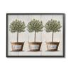 Stupell Industries Young Fruit Trees Charming Baskets Sweet Home, Designed by Elizabeth Tyndall Black Framed Wall Art, Grey view 1